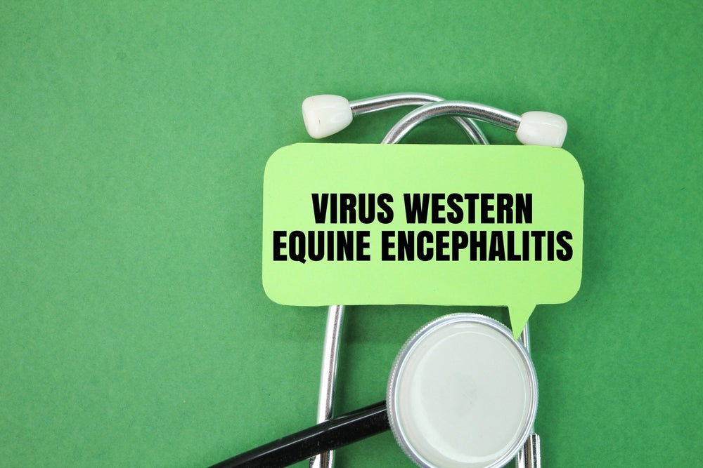 Peak Mosquito Season in Illinois: How to Protect Yourself from West Nile Virus