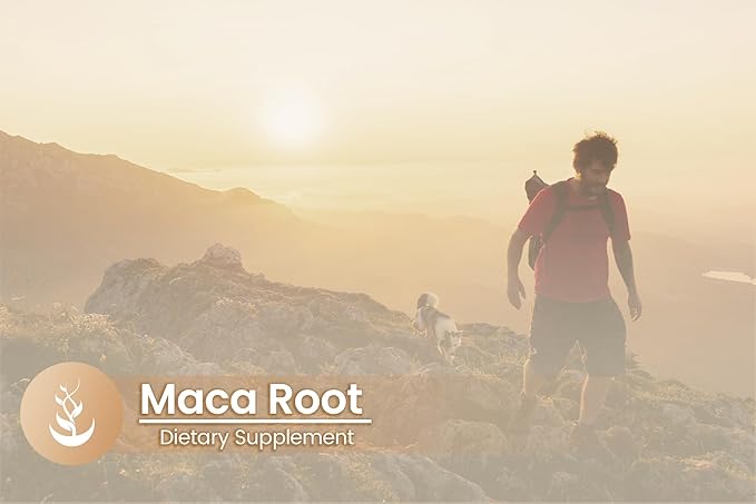 Pure Original Ingredients Maca Root – Lab Verified Peruvian Maca Supplement – No Additives or Fillers – Energy, Mood & Hormonal Balance – 100 Capsules