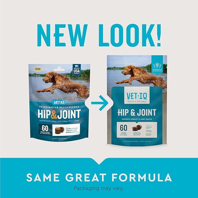 VetIQ Advanced Hip & Joint Chews for Dogs – Glucosamine, Chondroitin, MSM, Omega-3, Green Lipped Mussel – Mobility & Muscle Support – 60 Chicken Chews
