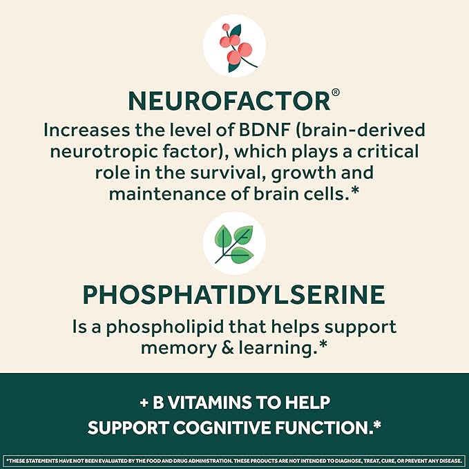 NEURIVA Plus Brain Supplement – Memory, Focus & Cognitive Support – Neurofactor™, Phosphatidylserine, B6 & B12 – Decaffeinated – 30 Capsules