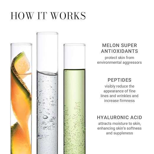Meaningful Beauty Environmental Protecting Moisturizer SPF 30 – Daily Anti-Aging, Antioxidant, Lightweight, Non-Greasy, Broad Spectrum, 1.7 oz