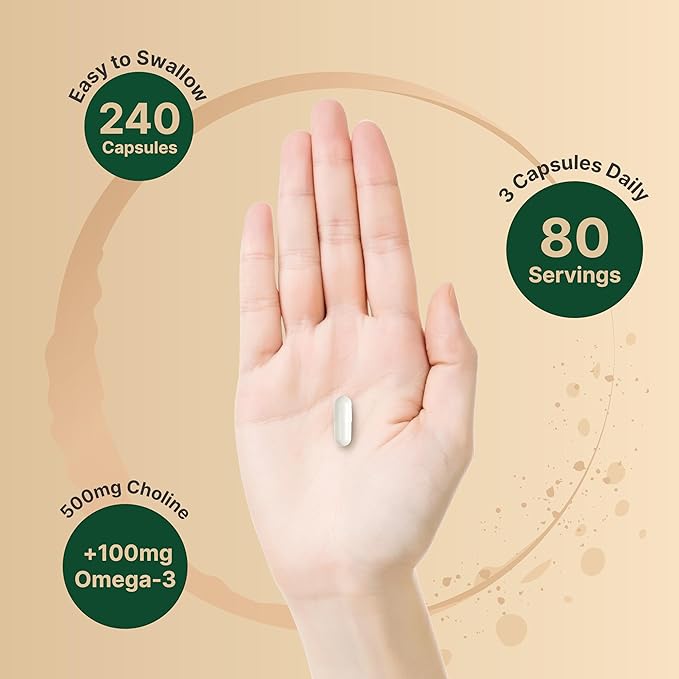 Choline 500mg with Omega-3 – Prenatal, Brain & Energy Support – 240 Capsules