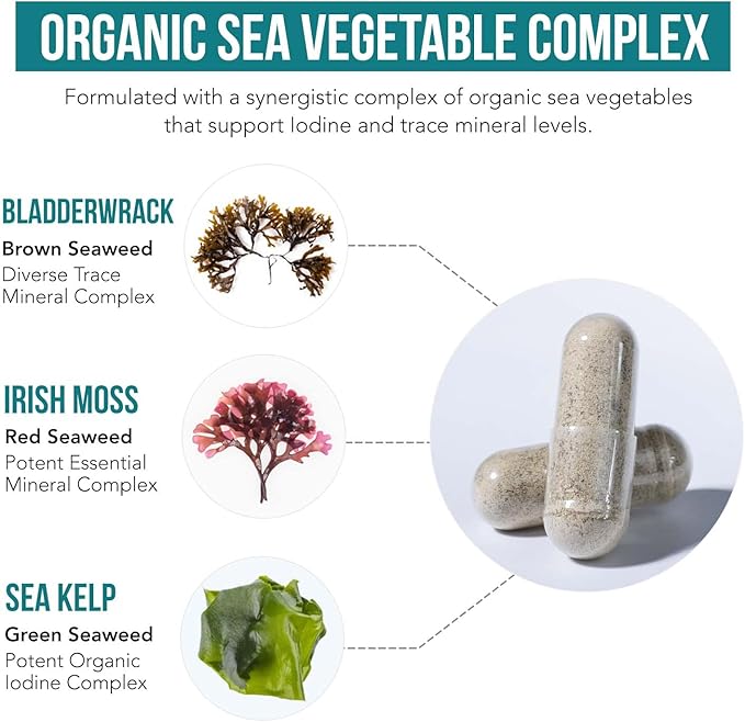 Organic Iodine 250mcg from Sea Kelp, Irish Moss & Bladderwrack – Whole Food Thyroid Support – 60 Capsules