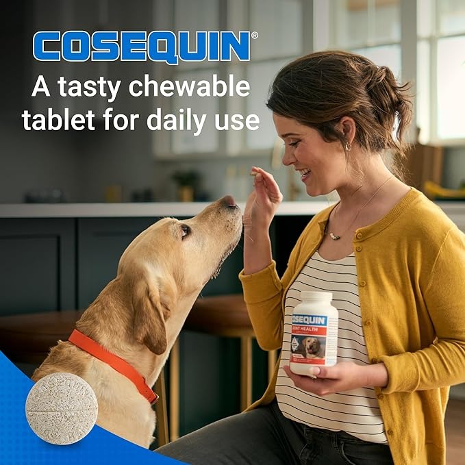 Nutramax Laboratories Cosequin Maximum Strength Joint Health Supplement for Dogs - With Glucosamine, Chondroitin, and MSM, 132 Chewable Tablets