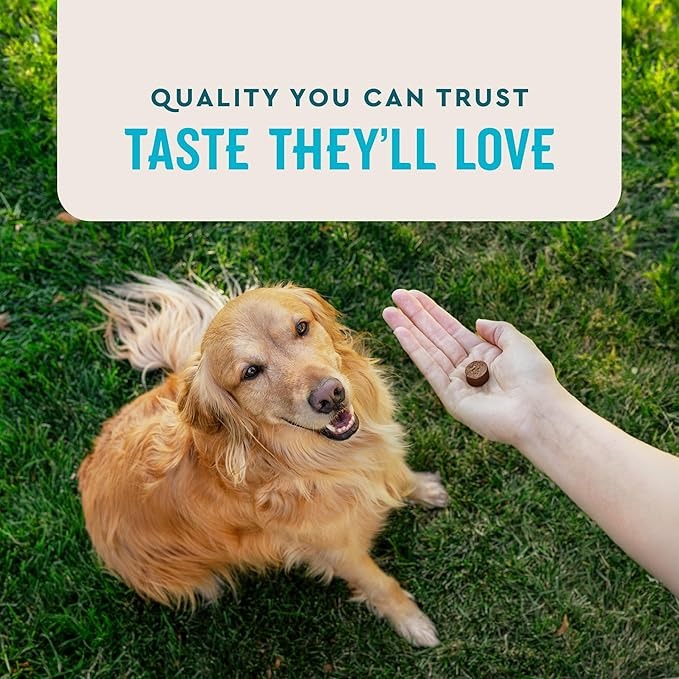 VetIQ Advanced Hip & Joint Chews for Dogs – Glucosamine, Chondroitin, MSM, Omega-3, Green Lipped Mussel – Mobility & Muscle Support – 60 Chicken Chews