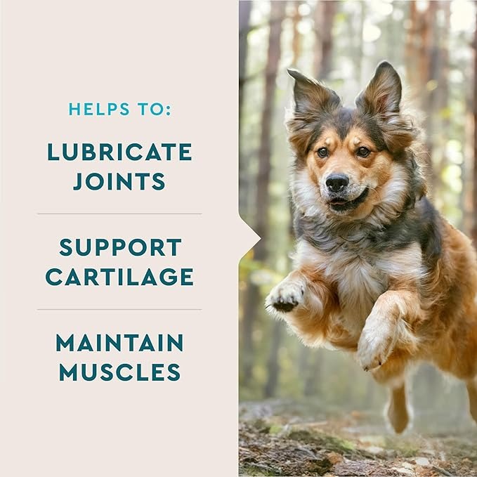 VetIQ Advanced Hip & Joint Chews for Dogs – Glucosamine, Chondroitin, MSM, Omega-3, Green Lipped Mussel – Mobility & Muscle Support – 60 Chicken Chews