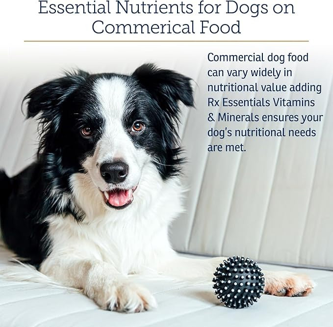 Rx Vitamins Essentials for Dogs - Daily Dog Multivitamin Powder - with Blue Spirulina for Dogs, Kelp Powder, and Milk Thistle for Dogs - Complete Dog Vitamins and Essential Minerals - 8 oz