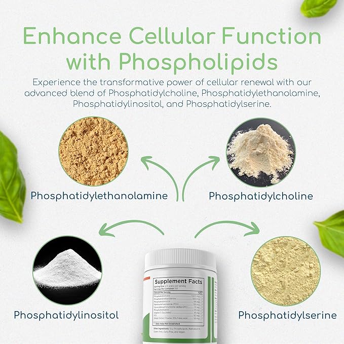 Phospholipid Synergy Powder – Cellular Repair, Brain & Liver Support – Natural Antioxidant for Memory, Focus & Detox – Non-GMO – 270g