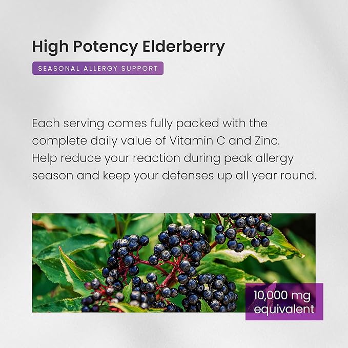 NutraChamps Elderberry Capsules – 10,000mg Sambucus Extract with Vitamin C, Zinc, D3 & Ginger – 5-in-1 Immune Support – Vegan, Non-GMO, Gluten-Free – 60 Capsules
