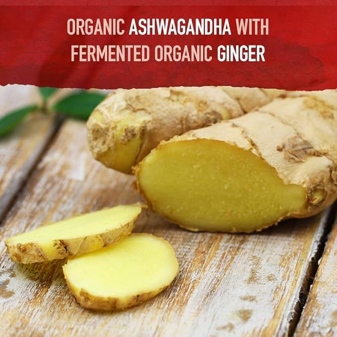 Garden of Life Organic Ashwagandha with Probiotics & Ginger – Stress, Mood & Energy Support – USDA Organic, Vegan, Gluten-Free – 60 Tablets
