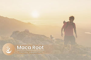 Pure Original Ingredients Maca Root – Lab Verified Peruvian Maca Supplement – No Additives or Fillers – Energy, Mood & Hormonal Balance – 100 Capsules