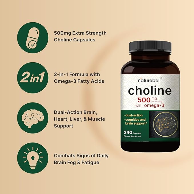 Choline 500mg with Omega-3 – Prenatal, Brain & Energy Support – 240 Capsules