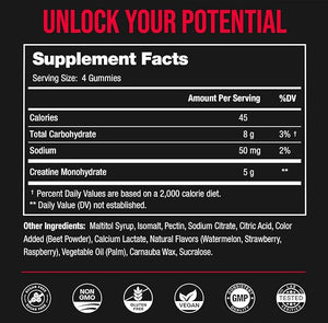 NutraChamps Creatine Gummies – 120 Count, 5g Sugar-Free Chewable Creatine for Men & Women