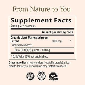 Real Mushrooms Lion’s Mane – Brain, Memory & Immune Support – Verified Beta Glucans – 120 Vegan Capsules