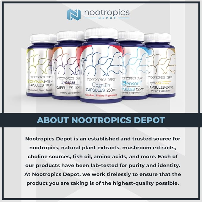 Nootropics Depot Agmatine Sulfate Capsules – 250mg, 120 Count, Nitric Oxide Booster & Energy Supplement