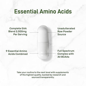 Essential Amino Acids (EAA) – 2000mg Per Serving, 300 Capsules, Unflavored, 9-in-1 BCAAs, Lean Muscle Support
