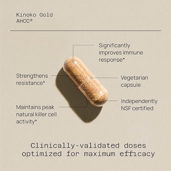 Quality of Life Kinoko Gold AHCC 500mg – Immune, NK Cell & Liver Support – 60 Vegan Capsules