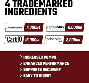 Axe & Sledge Demo Day Intra-Workout Carbohydrate Powder – Cluster Dextrin, Carb10, Hydromax & Palatinose, Unflavored, 30 Servings