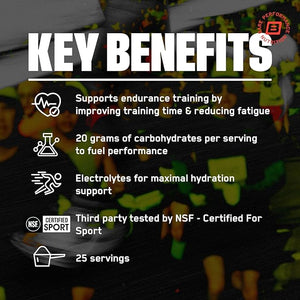BARE PERFORMANCE NUTRITION BPN G.1.M Go One More Sport – Superior Carbohydrate & Electrolytes Powder, Fruit Punch, 25 Servings