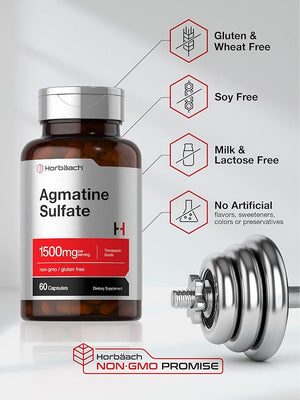 Horbäach Agmatine Sulfate Capsules – 1500mg, 60 Pills, Pharmaceutical Grade, Non-GMO, Gluten-Free
